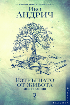 Корица