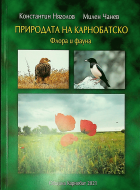 Корица