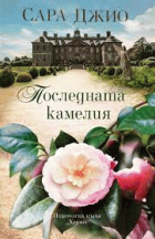 Корица