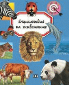 Корица