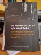 Корица
