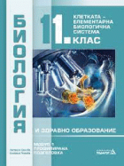 Корица