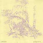 Корица