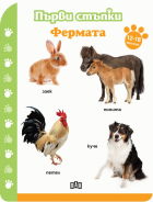 Корица
