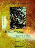 Корица
