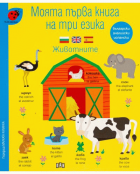 Корица