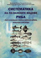 Корица