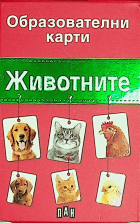 Корица