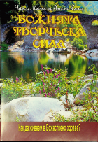 Корица