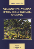 Корица