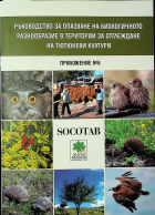 Корица