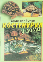 Корица