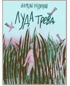 Корица