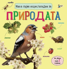 Корица