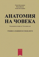 Корица