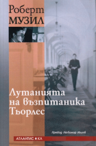 Корица