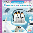 Корица