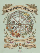 Корица