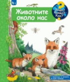 Корица