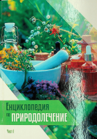 Корица