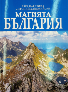Корица