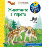 Корица