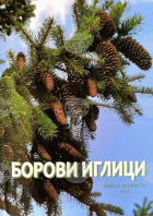 Корица
