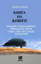 Корица