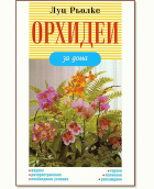 Корица
