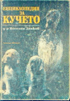 Корица