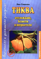 Корица