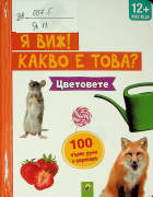 Корица
