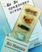 Корица