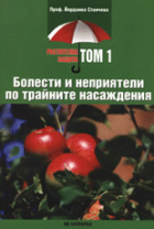 Корица