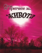 Корица
