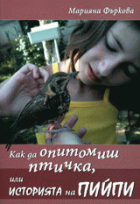 Корица