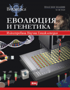 Корица