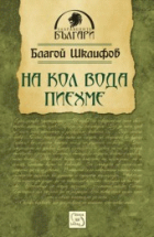 Корица