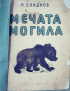 Корица