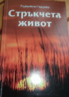 Корица