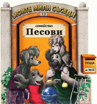 Корица