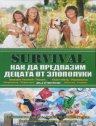 Корица