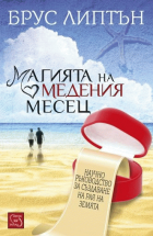 Корица
