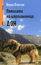 Корица