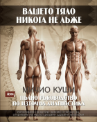 Корица