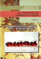 Корица