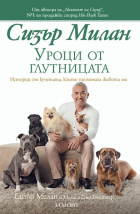 Корица