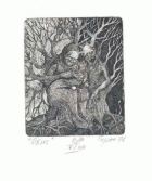 Корица