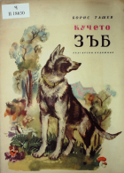 Корица