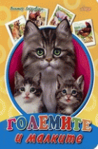 Корица